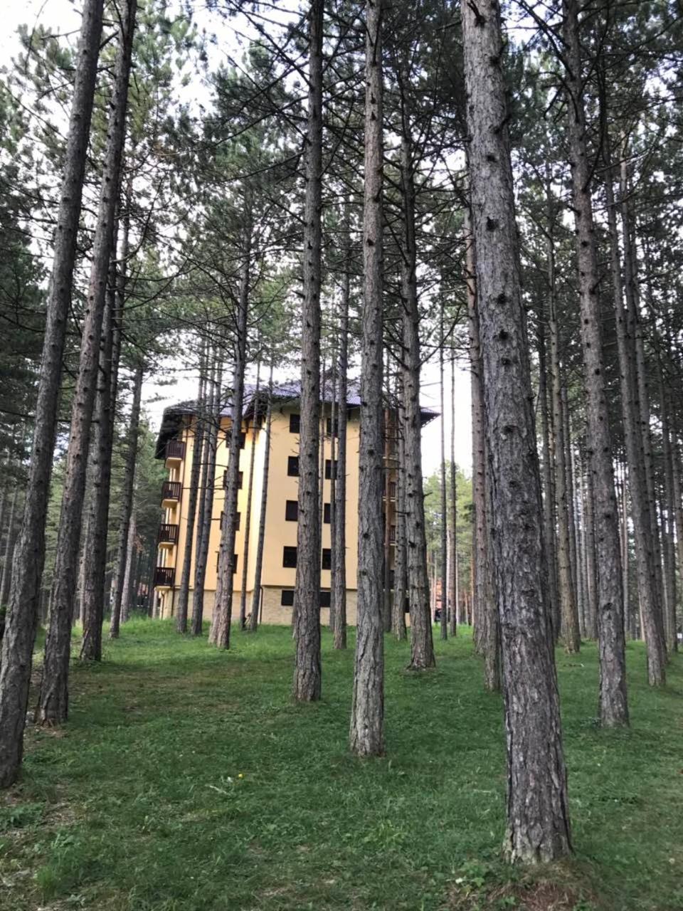 Zlatibor Apartmani Jakovljevic מראה חיצוני תמונה
